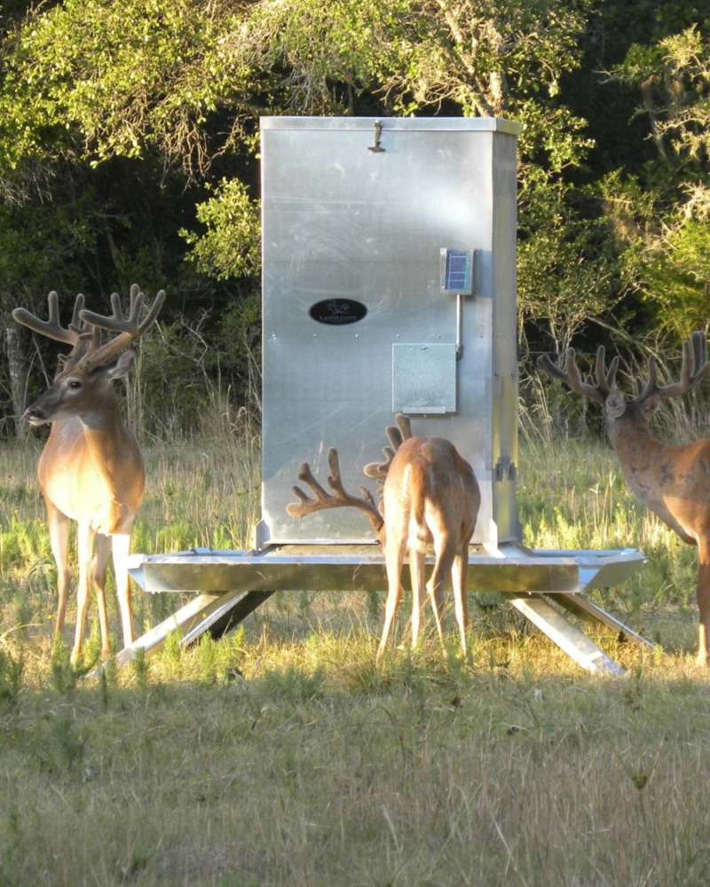 Load image into Gallery viewer, Lamco Timed Protein Feeders
