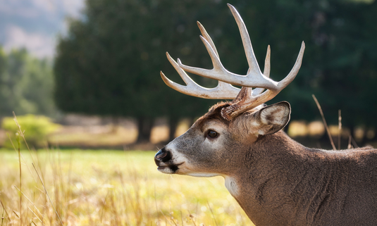 Built for Better Hunts