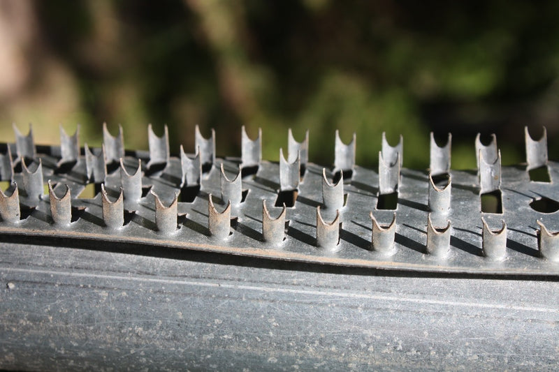 Load image into Gallery viewer, Boss Buck Shark Teeth
